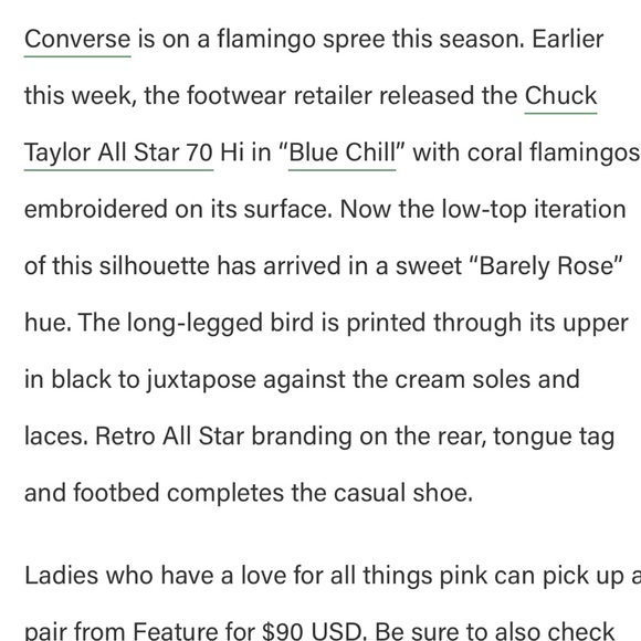 Chuck Taylor Flamingo Converse🦩 - Picture 9 of 9